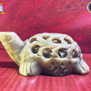Turtle with inner cut baby turtle – Gaurahari Enactus SRCC