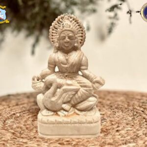 Saraswati ji idol – Gaurahari Enactus SRCC