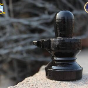 Shivling black(6 inch)- Gaurahari Enactus SRCC