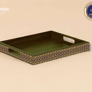 Small Multip-Purpose Usta Trays- USTA Enactus SRCC
